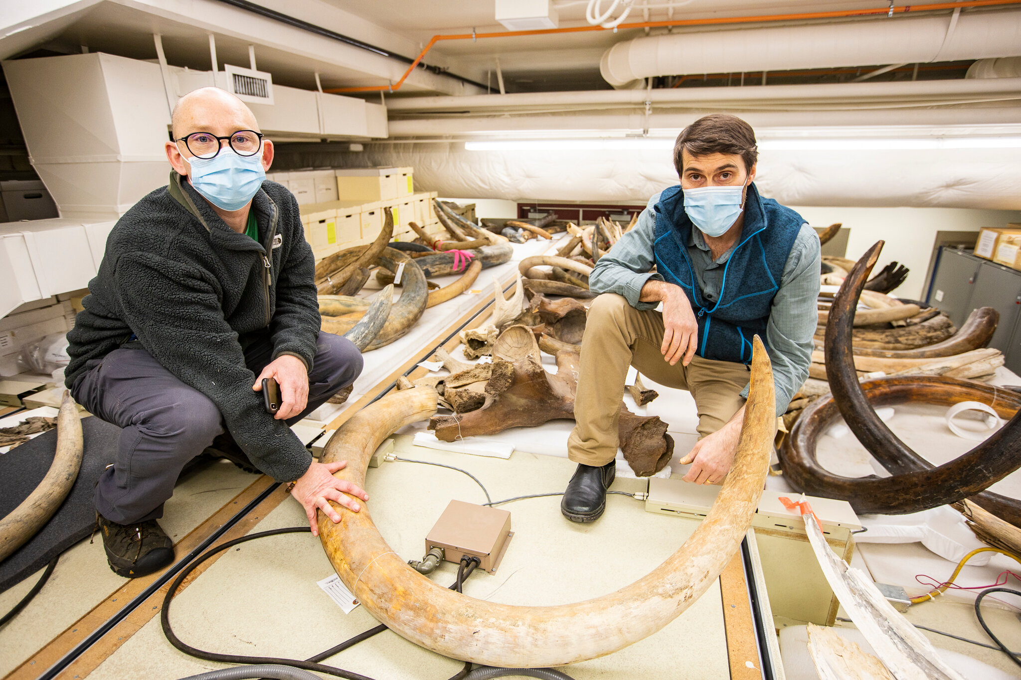 Scientists Uncover Mammoth’s Ancient Journey through Ivory